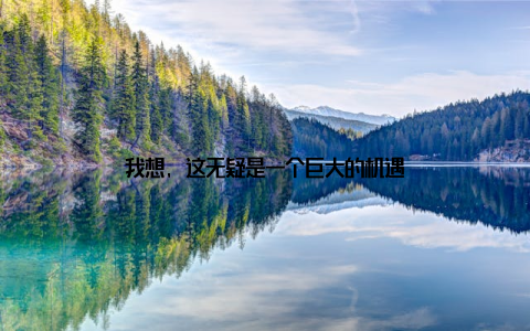 我想, 这无疑是一个巨大的机遇