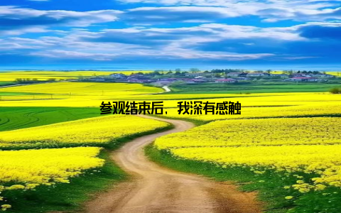 参观结束后, 我深有感触