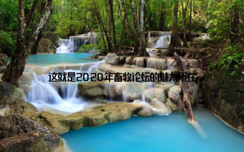 这就是2020年畜牧论坛的魅力所在