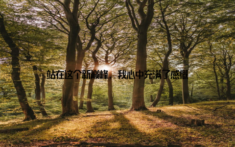 站在这个新巅峰, 我心中充满了感慨