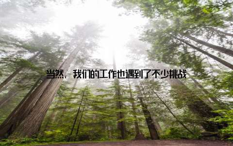 当然, 我们的工作也遇到了不少挑战