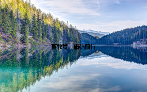 畜牧梦, 砥砺前行
