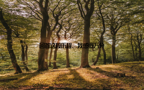 回首这段历程, 我感慨万分
