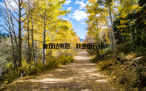 参观结束后, 我感慨万分