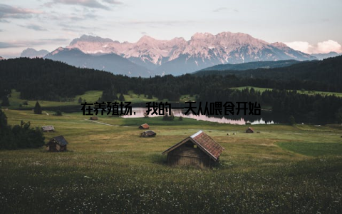 在养殖场, 我的一天从喂食开始