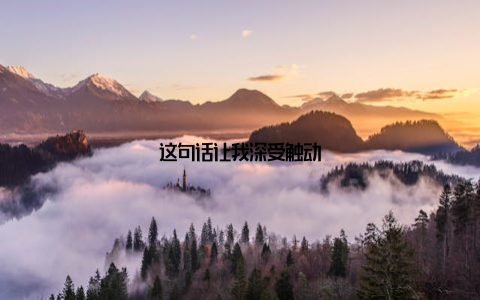这句话让我深受触动