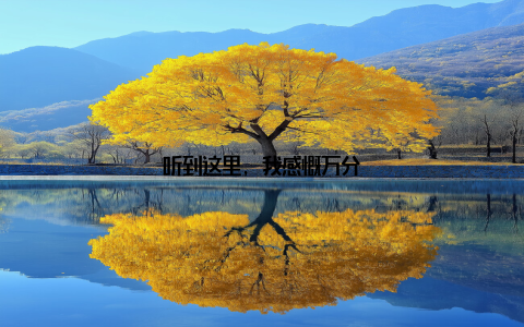 听到这里, 我感慨万分
