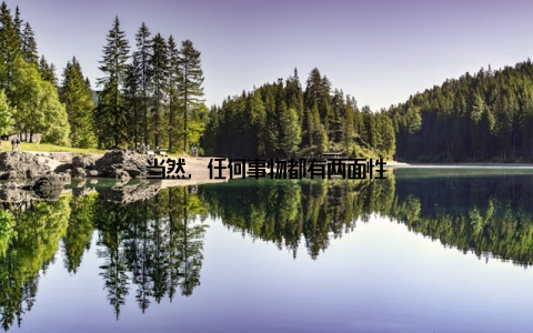 当然, 任何事物都有两面性