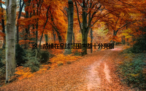 这一成绩在全球范围内都十分亮眼