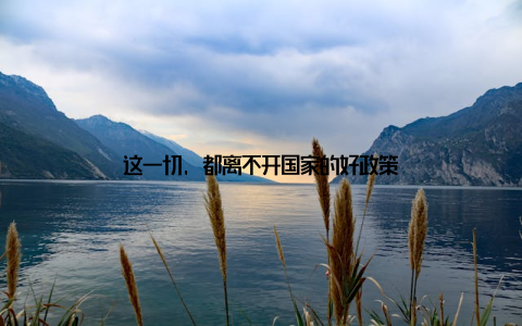 这一切, 都离不开国家的好政策