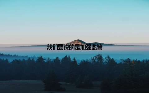 我们要说的是加强监管