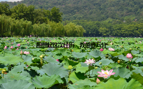回想起这次经历, 我感慨万分