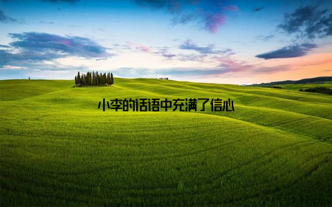 小李的话语中充满了信心