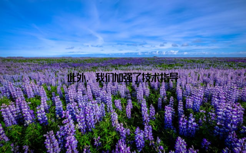 此外, 我们加强了技术指导