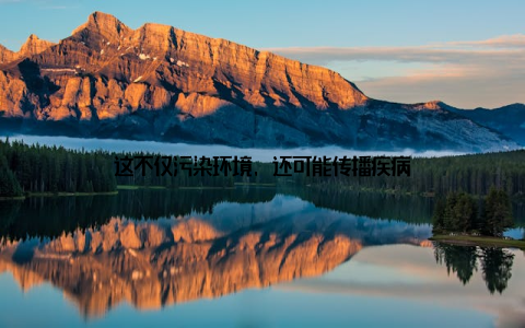 这不仅污染环境, 还可能传播疾病