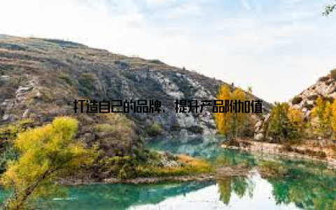 打造自己的品牌, 提升产品附加值