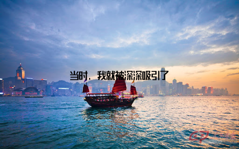 当时, 我就被深深吸引了