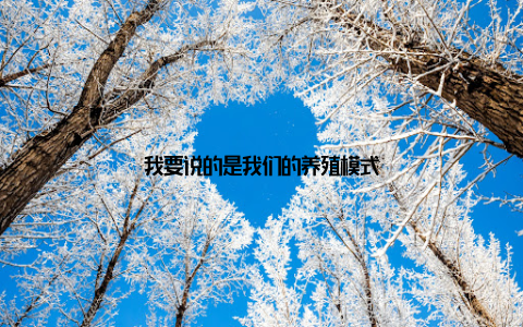 我要说的是我们的养殖模式