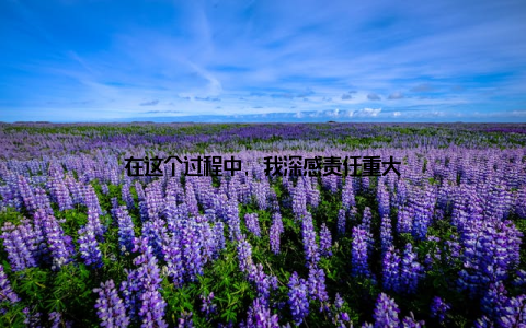 在这个过程中, 我深感责任重大
