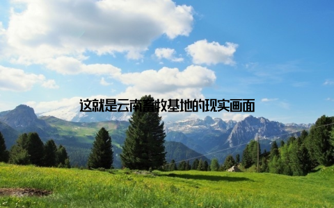 这就是云南畜牧基地的现实画面