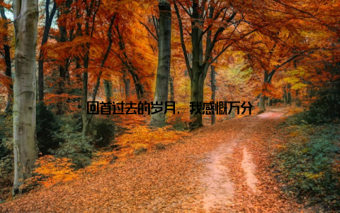 回首过去的岁月, 我感慨万分