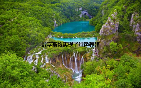 数字畜牧实现了绿色养殖