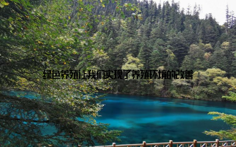 绿色养殖让我们实现了养殖环境的改善