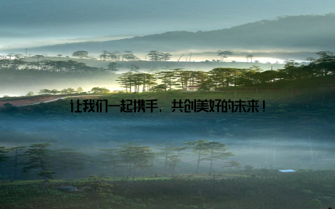 让我们一起携手, 共创美好的未来!