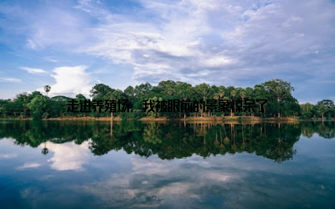 走进养殖场, 我被眼前的景象惊呆了