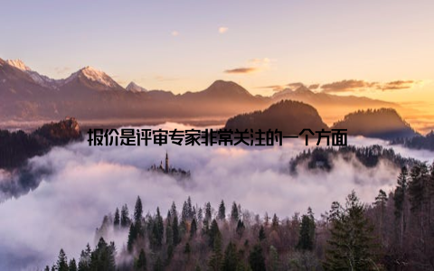 报价是评审专家非常关注的一个方面