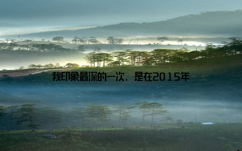我印象最深的一次, 是在2015年