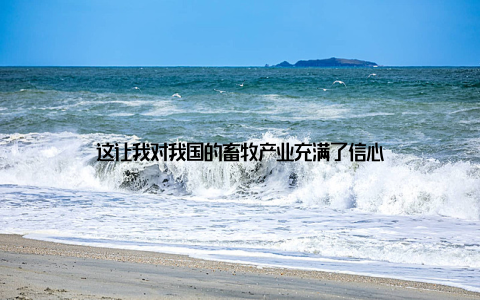 这让我对我国的畜牧产业充满了信心