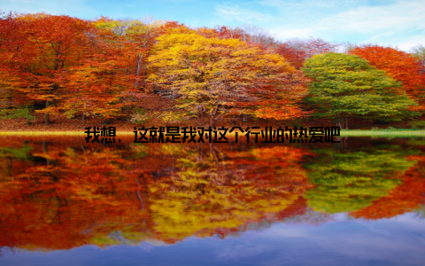我想, 这就是我对这个行业的热爱吧