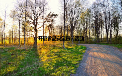 开展食品安全宣传活动