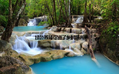绿色养殖促进了乡村振兴