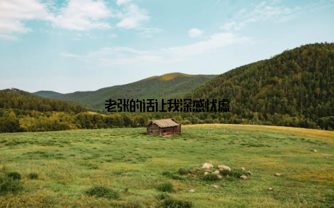 老张的话让我深感忧虑