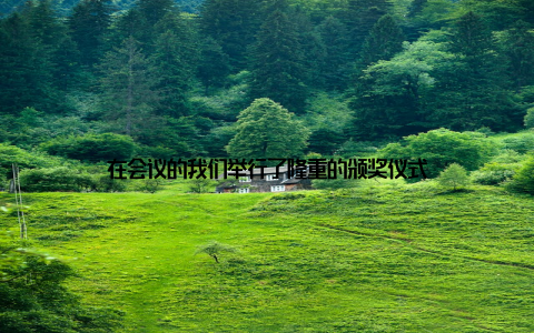 在会议的我们举行了隆重的颁奖仪式