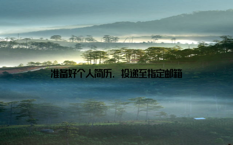 准备好个人简历, 投递至指定邮箱