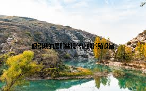 吸引我的是那些现代化的养殖设备
