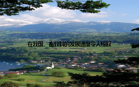 在我国, 畜牧科的发展速度令人惊叹