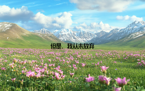 但是, 我从未放弃