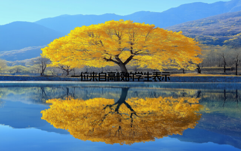 一位来自高校的学生表示