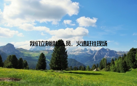 我们立刻组织人员, 火速赶往现场