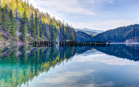 一走进展馆, 我被眼前的景象震撼了