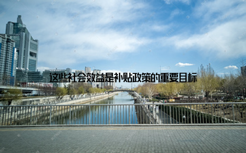 这些社会效益是补贴政策的重要目标
