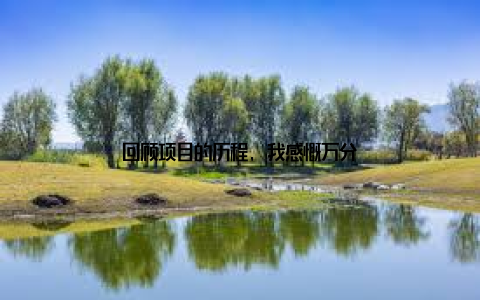 回顾项目的历程, 我感慨万分