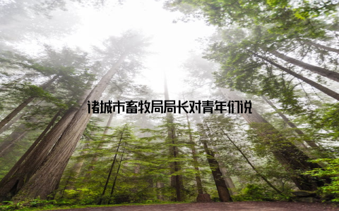 诸城市畜牧局局长对青年们说