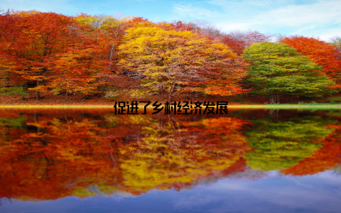 促进了乡村经济发展