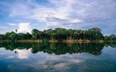 当然, 畜牧业的发展离不开政策扶持