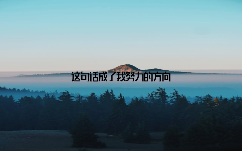 这句话成了我努力的方向